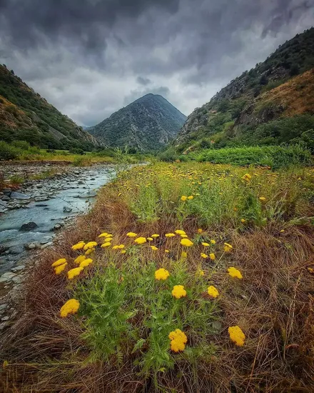 traveling to Iran in summer