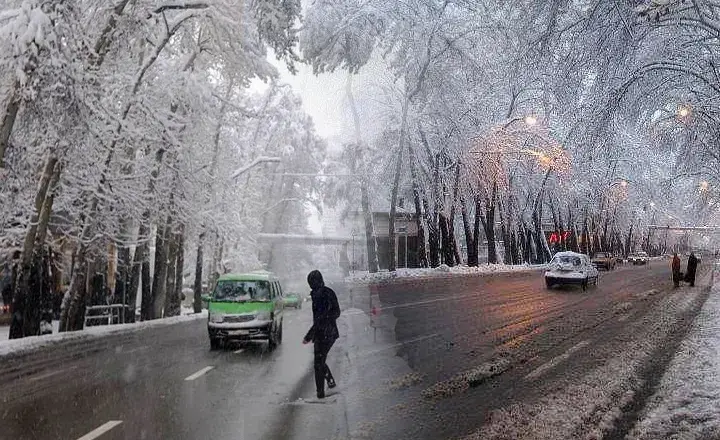 خیابان ولیعصر تهران