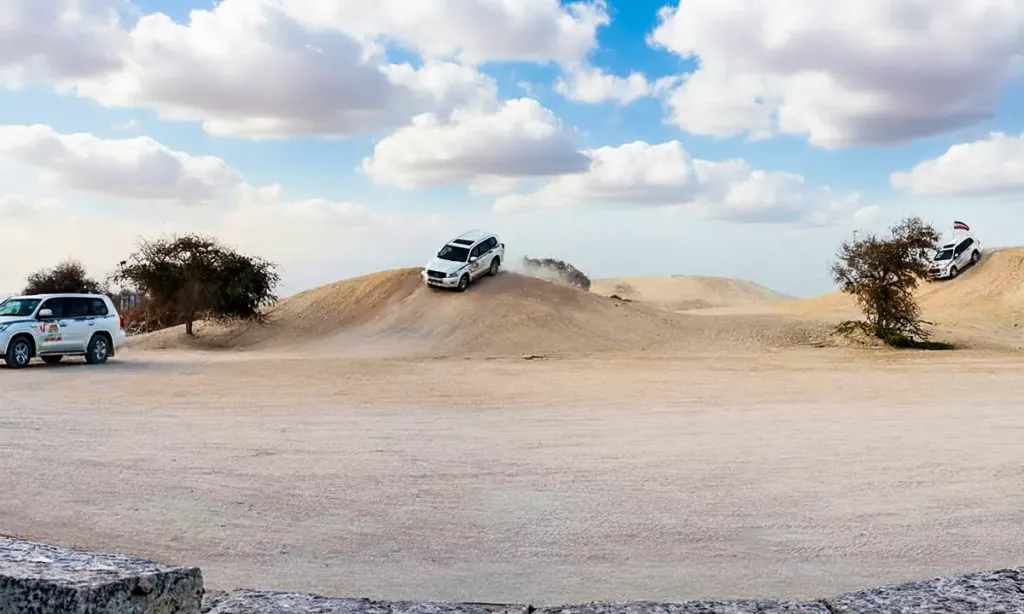 سافاری کیش