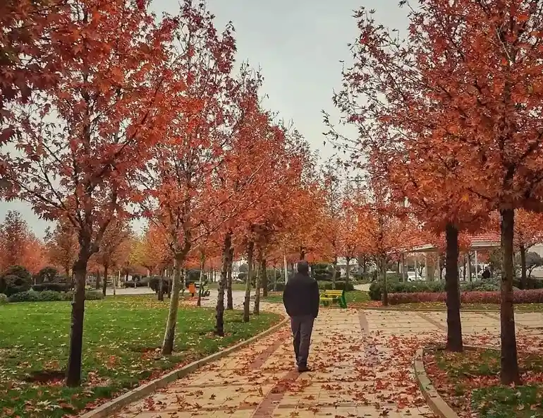 پارک بزین شیراز