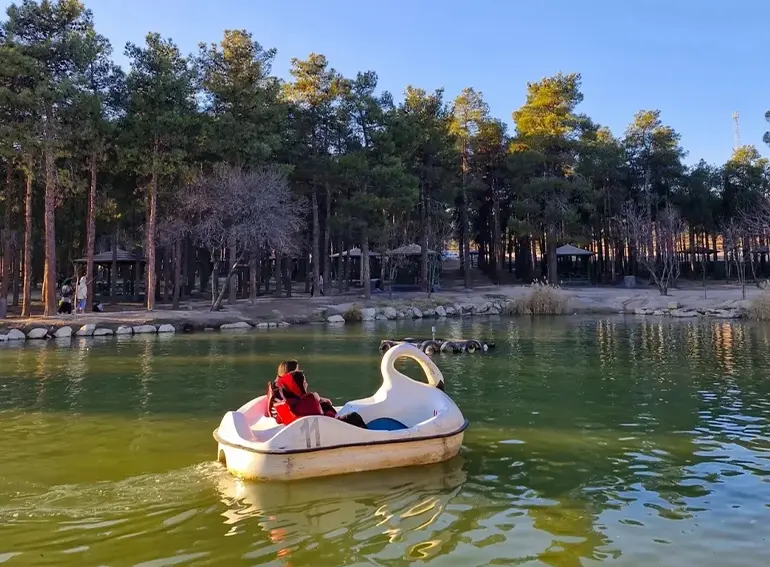 پارک جنگلی انقلاب زرقان شیراز