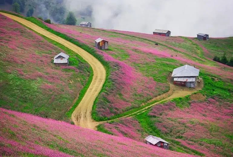 ایرانگردی با ماشین در فصل بهار​