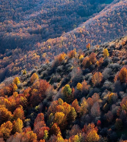 Iran in Autumn