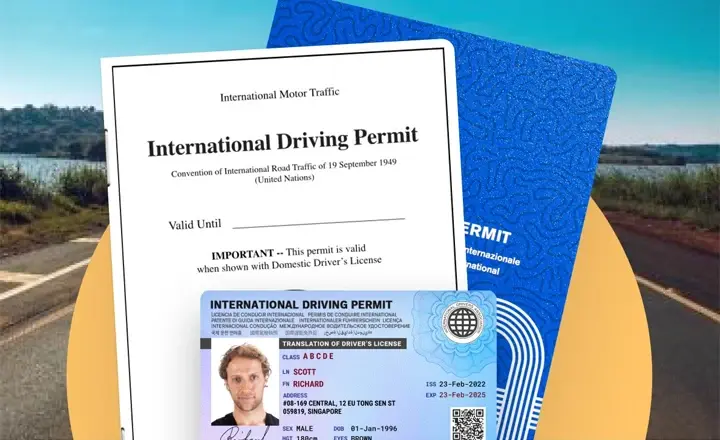 گواهینامه بین‌المللی رانندگی